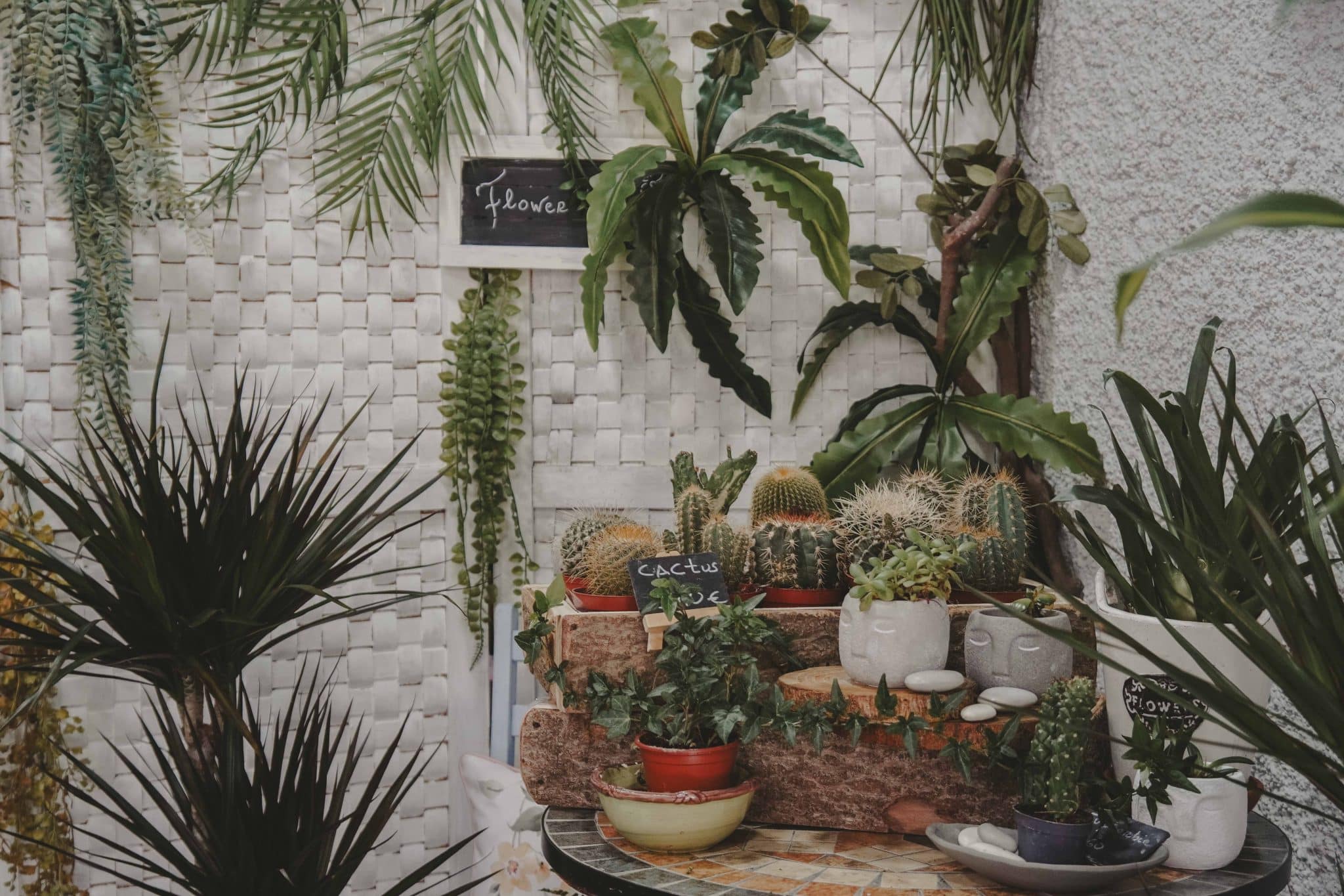 plantas_loja